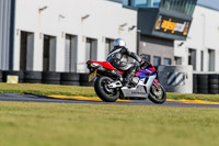 PJ-Motorsport-2019;anglesey-no-limits-trackday;anglesey-photographs;anglesey-trackday-photographs;enduro-digital-images;event-digital-images;eventdigitalimages;no-limits-trackdays;peter-wileman-photography;racing-digital-images;trac-mon;trackday-digital-images;trackday-photos;ty-croes